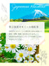 洋甘菊 x 日本紅茶茶包 2.5g x 35p